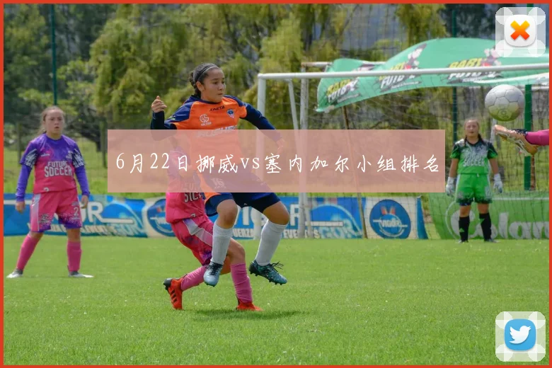 6月22日挪威vs塞内加尔小组排名
